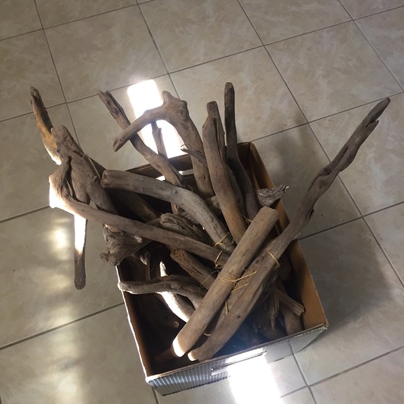 Sunbaked Driftwood 2 LBS 100% Organic + Beach Foraged Made By Mother Nature - Picture 3 of 11